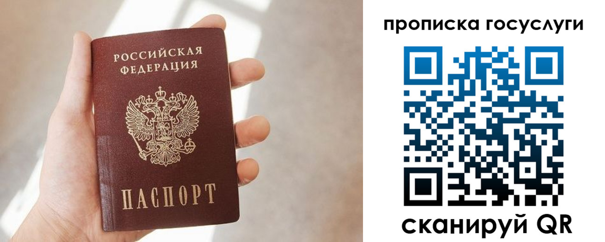 временная регистрация законно в Амурской области